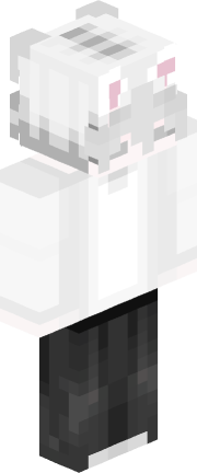 Skin Render