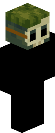 Minecraft skin of Hiwada