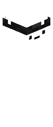 Skin Render
