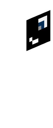 Skin Render