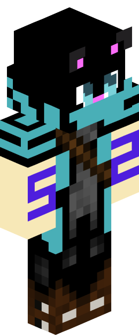 Minecraft-Skin von LarsLP