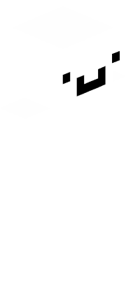 Skin Render