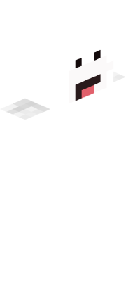 Skin Render