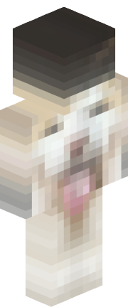 Skin Render