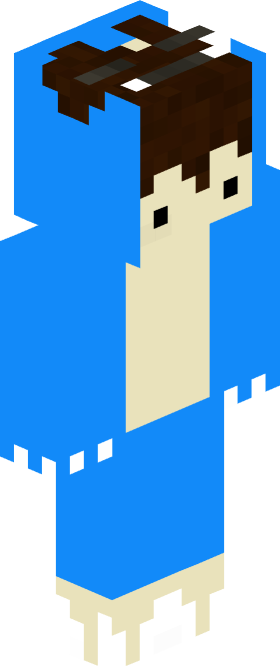 Minecraft-Skin von NiklasWilson