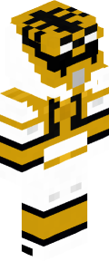 Skin Phantom