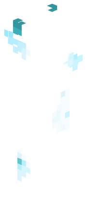 Skin Render
