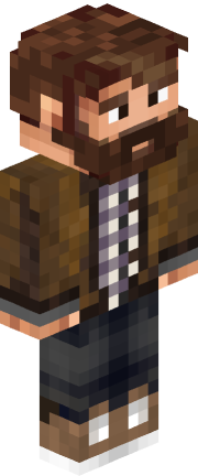 Skin de ProfesseurBloc