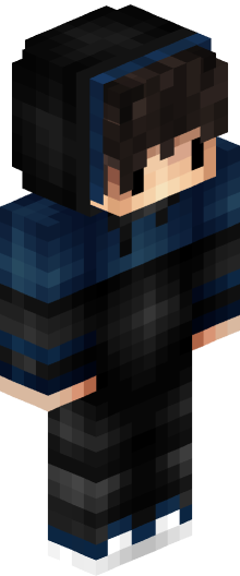 Skin de Rayden2016