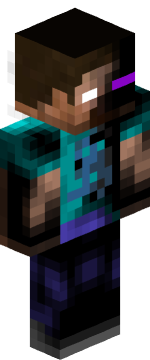Skin Robin