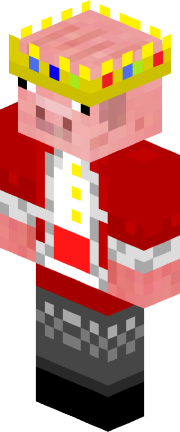 1st Place Skin