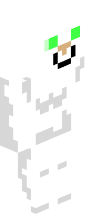 Skin Render