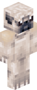 Skin Władca Czasu