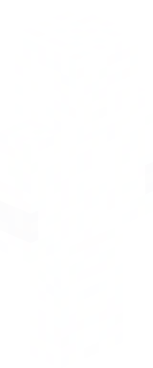 Minecraft skin of Wolfizin