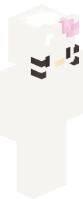 White Custom Minecraft Skin