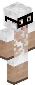 Minecraft Skin