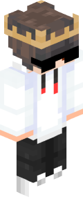 a3398a9a289d1ca766cbeceb1a0c393bae3ffa09ce3b791f0f3bdd95282a72e9 Minecraft skin