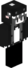 a371553ea22957a30282b71f2c34ba5905b948255103c4e1ce04334bfcac9df1 Minecraft skin