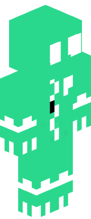 Player skin