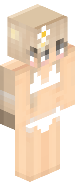 coincleaner Minecraft skin full body