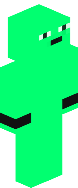 Evokers Minecraft skin full body
