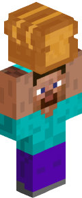 Brown Medieval Minecraft Skin