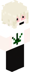 aa3df5241eac3116919b508e5216436193cda81646ae148ba5413392b6e2c69c Minecraft skin