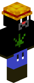 ac6a353cc66bc9d24b393ff2837016445be5d5215c519792ed66315dd99b8063 Minecraft skin