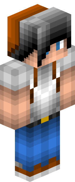 Nee Minecraft skin full body