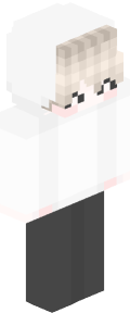 add203b19b6862fd8f8b1d540d17f4775d7d8d2e42906897276a6f49d64b7657 Minecraft skin