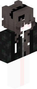 adf9a3ed624f2db95345e56f35f8c0727ca33313f304eacc1db9ca9bd62e7041 Minecraft skin