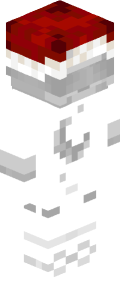 ae2e23831024f99371734a562882b3d07a30257bddb203a0df21b652aa55617b Minecraft skin