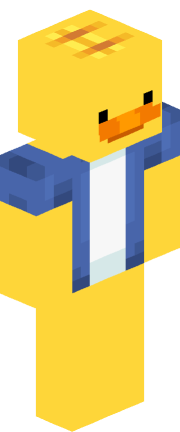 lilducky67 Minecraft skin