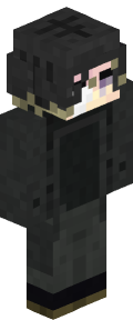 b20bbc58cd614493d5d7bd7ce3a53e3ce8e9eb96b42857d7b2d0cf6a2c25656d Minecraft skin