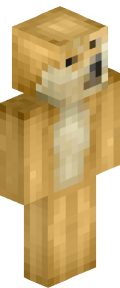 b2c7a26a5ba329f890950a8f04eb76d7c27d413cd0cdd0f9742c7d1b5456e6f6 Minecraft skin
