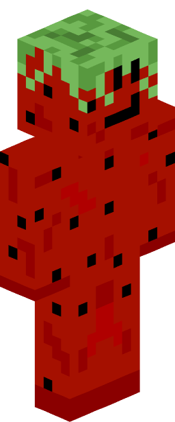 NatteAardBei Minecraft skin full body