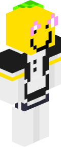 b3f7db50527a9f37c2531585a51de48be429878a0ad1e4a9f14b26219e327b0b Minecraft skin