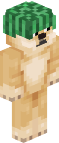 b5bbae33db6dd6e6acfe65d6b2545fe6704a8a680990f10850437412e904793d Minecraft skin