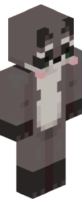 Gray Robot Minecraft Skin