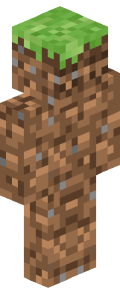 Brown Medieval Minecraft Skin