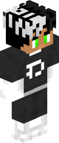 bd5da0f246606dc2f51a6d85c366312a368dc196241ba325ec9e3e68223eae0e Minecraft skin