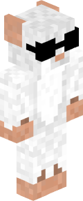 bd8f83e8d282b26f9b1945eaceffafaaf397a854fbc51df3367481134dc39826 Minecraft skin