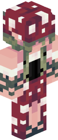 c3196d57e884638fb8d476f90a4b84ef27d45619e7ea8da4aea0167820412f15 Minecraft skin