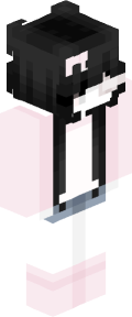 c77f5536ce2f154b509a712bc20f3c2cd2d21189e2191f660aa1beb7b0611578 Minecraft skin