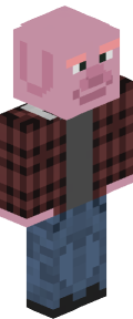 c90ab4988183dde0a1f14293926a62e94318a4858d797a4c3101fe8c904eae66 Minecraft skin