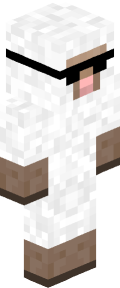 ca76eb7a78cc51c6d3198c8089b32dc09061f687b0649b136651be372caa832a Minecraft skin