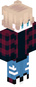 cc124538e2da2d1ba58f4450963474a68a5ad0b9bb0feeafc9d6199c67da12be Minecraft skin