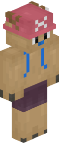 Minecraft Skin
