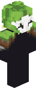 d079902c5b2d0418eb08e23f68763e1da34167270134a2382fbc327362bfb8f3 Minecraft skin