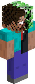 d1bff819533cc539634c926759de339f3b55dc474cd520fc3985d29bdc78d277 Minecraft skin